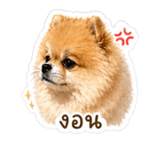 854444840