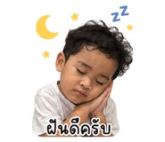 854445558