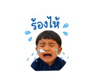 854446003