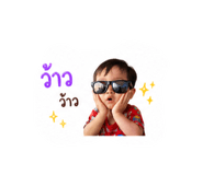 854446033