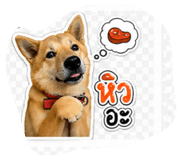 854446341