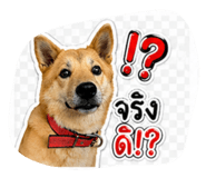 854446343