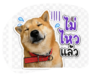 854446344