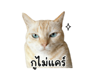 854448842