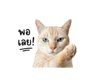 854448845