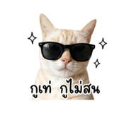 854448848
