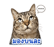 854449759