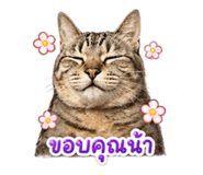 854449760