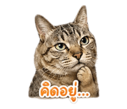 854449766
