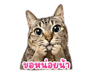 854449767