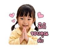 854450246