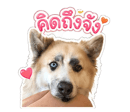854453284