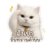 854454820