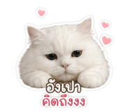 854454822