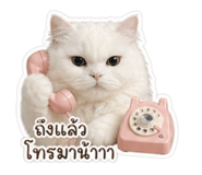 854454825