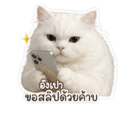 854454826