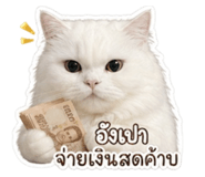 854454827