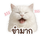 854454832
