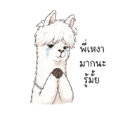 854456086