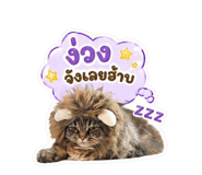 854456678