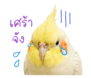 854459913