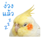854459918