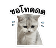 854460591