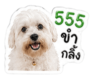 854460635