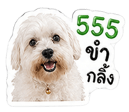 854460637