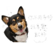 854463579