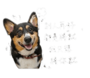 854463580