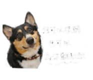 854463585