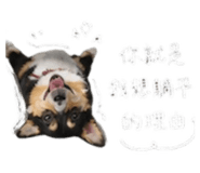 854463590