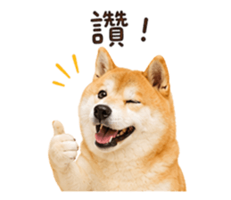 854463783