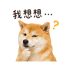 854463786