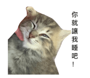 854464146