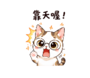 854467208