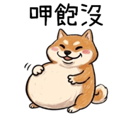 854470494