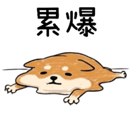 854470508