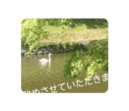 854479278
