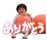 854481211