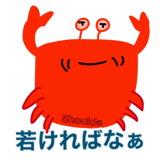 854481911