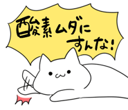 854488218