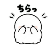 854488627