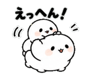 854488637
