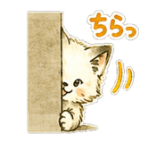 854491840