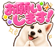 854493960