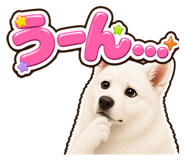 854493978