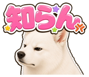 854493981