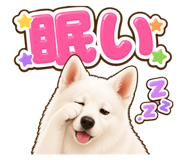 854493988